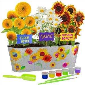 Aken läbi taimekomplekti