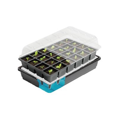 24 Cellsi isekastva seemne stardikomplekt