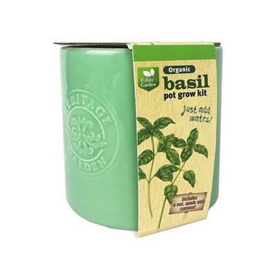 Köögiaia kasvupott