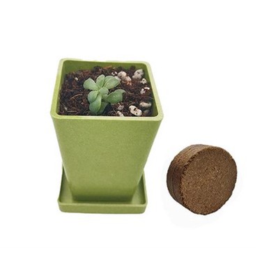 Mini Square Bamboo Fiber Plant Pott