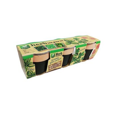 Terrakota kriidipotid